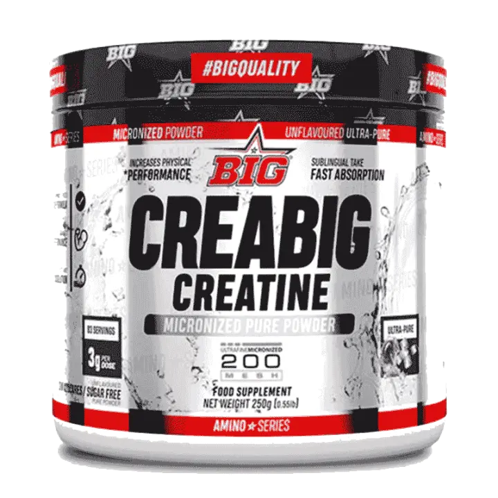 Big BIG CREABIG 200 MESH Ultra Pure - Suplemento Deportivo para Aumento de Masa Muscular y Energía Muscular - 1
