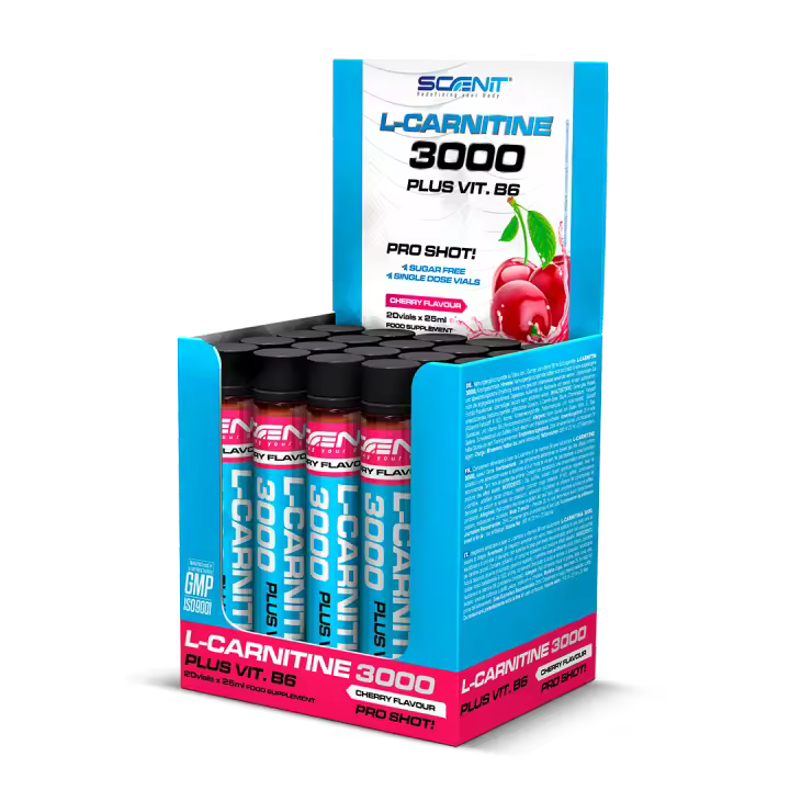 L Carnitina 3000 - L Carnitina Liquida - Carnitina Liquida 3000 - Carnitina Liquida - L-Carnitina 3000 - L Carnitina Viales - L Carnitina - l - carnitina - 20 unidades de 25 ml - 1