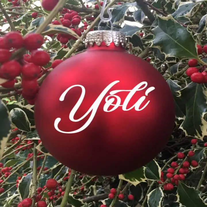 Bola navidad adorno de cristal roja con nombre 8cm decoración navidad Decomac - 1