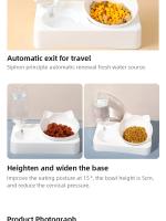 Tazón De Alimentos Para Mascotas Con Inclinación De 15 Grados Para Proteger La Columna Vertebral Del Cuello Dispensador Automático De Agua Tazón Cuadrado De Plástico Para Gatos - details 4