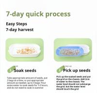 Caja De Plantación De Hierba Para Gatos Sin Semillas Caja De Semillero De Jardín Para Brotes De Semillas Set De Bandejas De Germinación De Semillas - details 12
