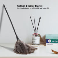 Mini Duster Hecho a Mano Lavable Y Reutilizable Para Libros Teclado Oficina Hogar Pico De Avestruz Duster Limpiador De Computadora - details 4