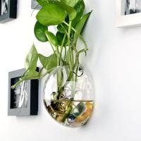 Vaso De Cristal Transparente Para Pared Vajilla Hidroponía Acuario De Plantas Decorativo Estilo Clásico Diámetro 8cm/10cm/12cm/13cm/15cm - details 3