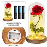 Rosa Eterna De Cristal Con Flores Artificiales Belleza Y El Bestia Regalo Para San Valentín Boda Cumpleaños Decoración - details 2