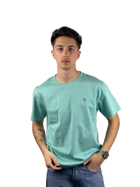 Camiseta Patadegayo Robin Jade - 1