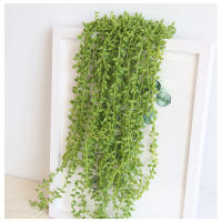 1PC Cadena De Perlas Artificial De Suculentas Colgantes Para Bodas Y Decoración De Hogar Para Sala De Estar Y Dormitorio - details 8