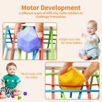 Juguetes de Habilidades Motoras para Bebé 6 9 12 18 Meses, Juegos Montessori Educativos Aprendiendo Caja de Clasificación Sensorial con 6 Piezas Textura Ball y 3 Bolas Blandas Juguetes niños 1 año - details 4