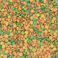 Nutribird G14 Pienso Tropical para Loros 1kg - Alimento para Aves - details 0