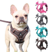 Set De Correa Y Arnés Reflectante Para Perros Y Gatos De Malla Y Nylon Para Pequeños Y Medianos Perros Bulldog Pug - details 2