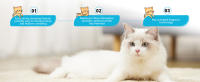 Nobleza - Arena para Gatos de sílice Camada para Gatitos de Gel de Diamante 3.8L Absorbente, Cómodo Biodegradable Sabor a Limon - details 5