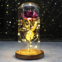 Rosa De Boda Con LED Galaxia Enchanted Con Luz En Domos Regalo De San Valentín Navidad Día De La Madre Belleza Y La Bestia Para Interior - details 5