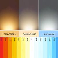 Pack de 10 bombillas led 6W blanco frío 6000K G45 rosca grande E27 | Lámpara no regulable luz fría | Suministros Castro - details 2