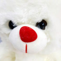 Peluche Osito Con Corazon TE AMO 25cm COLOR BLANCO,te amo te quiero,Día de San Valentín,cm,fespu - details 1