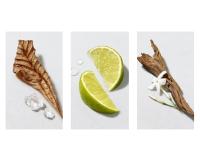 Giorgio Armani ✅ Acqua Di Gio Eau de Toilette 1.2ml Perfume Hombre, Muestra Original - details 1