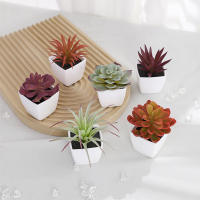 1SET(6PCS) Succulentas Simulación Pequeñas En Macetas Para Decoración De Hogar Balcón Baño Estantería Jardín Mini Realistas 22449ZH6 - details 0