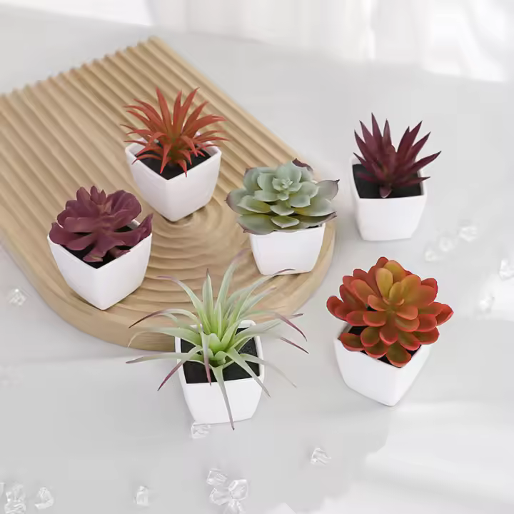 1SET(6PCS) Succulentas Simulación Pequeñas En Macetas Para Decoración De Hogar Balcón Baño Estantería Jardín Mini Realistas 22449ZH6 - 1