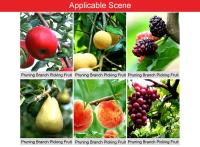 Tijeras De Poda RDDSPON En Acero Inoxidable Con Mango Antideslizante Herramientas De Jardín Muy Afiladas Para Frutas Y Árboles - details 1