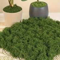1/5/8pcs Moss Artificial Simulado Para Decoración De Jardín Plantas Verdes Silken Para Decoración De Macetas Y Exposiciones - details 0