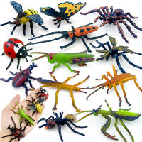 Juego De 12 Figuras De Animales Miniatura Insectos Y Reptiles Educativo Para Niños Juguetes De Halloween Escarabajo Mantis Cicada Lurio - details 1