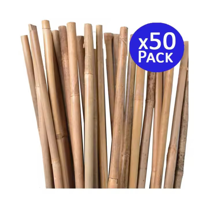 Suinga - Pack 50 Tutores de Bambú 105cm - Agricultura y Floricultura - 1