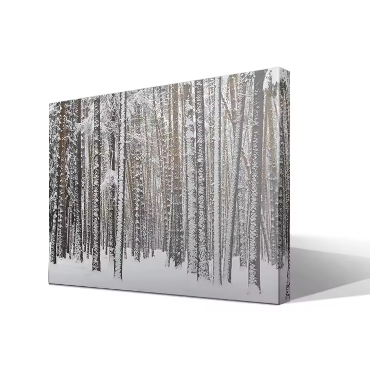 Cuadro Canvas Bosque Nevado - Alta Resolución - Lienzo 100% Algodón - Bastidor Abeto - Fabricado en España - 1