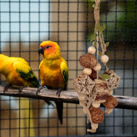 Juguete De Masticación Para Papagayos Periquitos Lovebirds Budgies Cacatúas Conures: Entrenamiento De Mordedura Percha De Tornillo Para Aves De Compaña - details 1