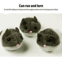Ratón de piel sintética para todas las razas y especies, juguetes para gatos, lindos y realistas, juguetes para gatitos - details 4
