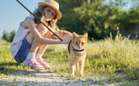 Nobleza - Arnés para Gatos con Correa, Ajustable Antiescape Seguridad Arnés para Gatos y Cachorros - details 1