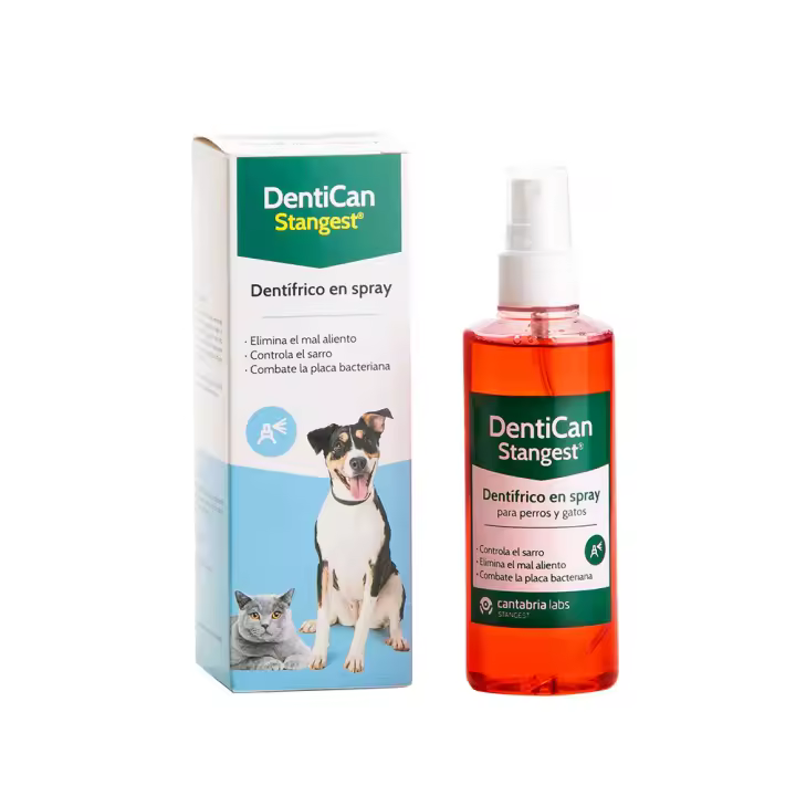 Dentican  Spray 125ML - 1