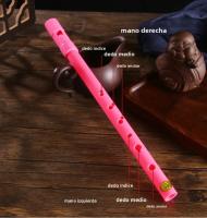 Flute Irlandesa D Tone ABS Profesional Instrumento De Viento De Madera Tradicional Con 6 Agujeros Instrumento Musical - details 3