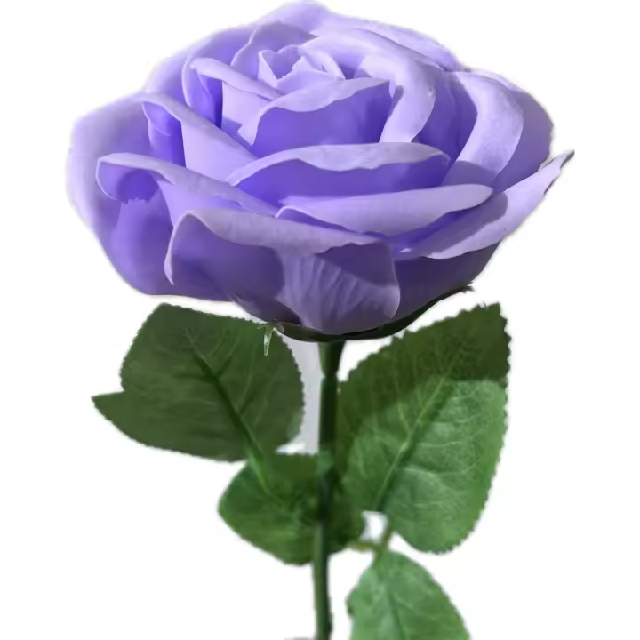 YUMO HOUSE - Rosa de Sant Jordi, Rosa San jorge + Velón Esotérico Rojo + tarjeta felicitación - 1