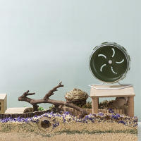 Rueda De Ejercicio Silenciosa Para Hamsters Gerbils Y Rattus Con Soporte Ajustable Plástico Material No Contiene Químicos Dañinos - details 9