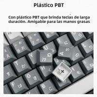 GJ Apollo Set De Teclas PBT Doubleshot Perfil Cherry Para Teclado Mecánico Laser Hirigana Criullico Hangual Inglés Alice Compatible Con Desktop Laptop Tablet - details 7