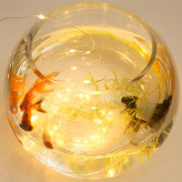 Luces De Navidad LED Impermeables Con Control Remoto Y Pilas Incluidas Cadena De Luces De Fairy Para Decoración De Bodas Y Exterior Con 8 Modos Colores Variados - details 4