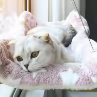 Hamaca colgante para cama de gato, soporte cómodo para asiento de ventana soleada, marco de escalada para gatito, accesorios para mascotas, 20Kg - details 1