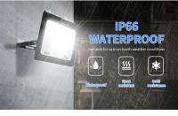 Fuente De Luz LED De Alta Brillo Para Jardín Y Calle 10W 20W 30W 50W 100W 150W 200W 300W AC110V/220V Iluminación Exterior Moderna IP66 En Aluminio - details 4