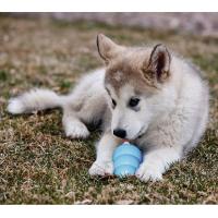 KONG Puppy juguete rellenable para cachorros talla M - details 6