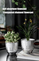 Maceta Automática De Riego Por Absorción Doble Capa Transparente Plástico Para Suculentas Maceta Decorativa Para Plantas De Escritorio - details 0