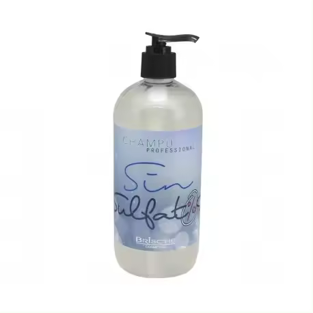 Brische Cosmetics Champú Brische Sin Sulfatos 500ml para Cuidado Capilar con Tratamiento de Keratina y Protección del Color - 1
