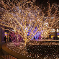 Cadena De Luces Solares Impermeable De 300 LED Para Jardines Bodas Fiesta De San Valentín Navidad Árbol De Navidad Hogar 8 Modos - details 5