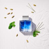 Antonio Banderas Blue Seduction Eau de Toilette 50ml Vaporizador - details 0