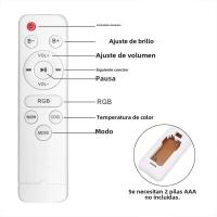 Lámpara De Techo LED RGB Bluetooth Compatible Regulable Para Decoración De Hogar 2800K-6500K Para Dormitorio Y Sala De Estar - details 7