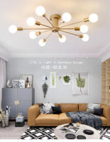 Modern Sputnik Ceilin Ganchillo Lámpara Colgante Satellite Iluminación Fuente De Luz Decorativa Para Sala De Estar Y Comedor Material De Hierro - details 0