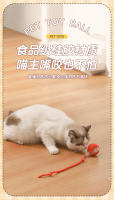 Nueva Juguete Para Gato Inteligente Eléctrico Automático Con Cuerda Y Sonido Recargable Por USB Suministros Sofocantes Para El Hogar De Los Animales Domésticos - details 7