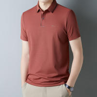 Camisa POLO De Verano Para Hombre Con Estampado De Letras Corta Resistente Al Arrugas Transpirable Ropa Casual SPANDEX Polyester - details 14
