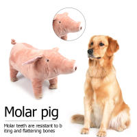 Juguete De Peluche Para Perros Y Gatos Almohadilla De Sueño Companion Mordedor De Algodón Para Pequeños Perros Bulldog Francés Divertido Juguete Para Moler Y Jugar - details 4