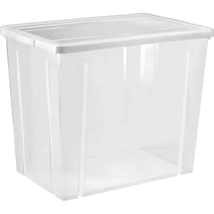 Tontarelli - Caja Almacenaje 80L con Tapa Línea Box Transparente - Espaciosa y Funcional, Resistente y Apilable - 1