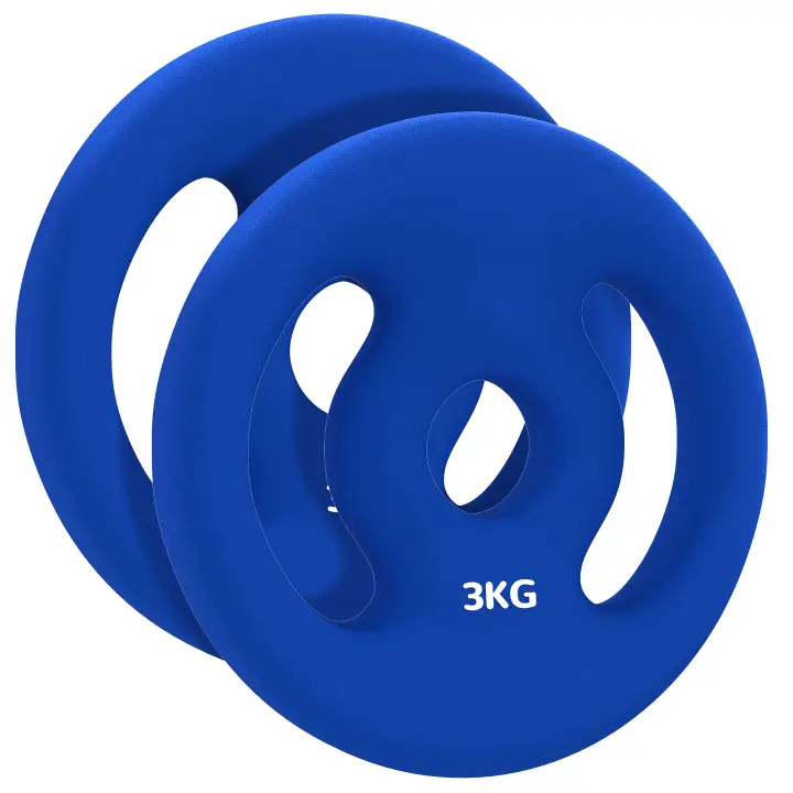 SPORTNOW Juego de 2 discos de pesas, 2 x 3 kg, discos para mancuernas, para barras de Ø 2,5 cm, con asas de fácil agarre, para casa, gimnasio, halterofilia, metal, azul - 1