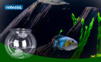 Nobleza - Pecera Globo de Plástico, Ideal para Flores, Peces, Tortugas (17.5cm/20cm) - details 1