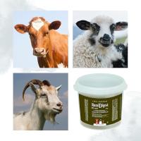FINCA CASAREJO Suplemento Alimenticio Natural Rumidigest 3kg - details 2